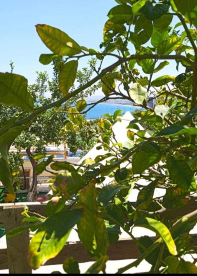 Queens Luxury Glamping Palaiokastro  Exteriér fotografie