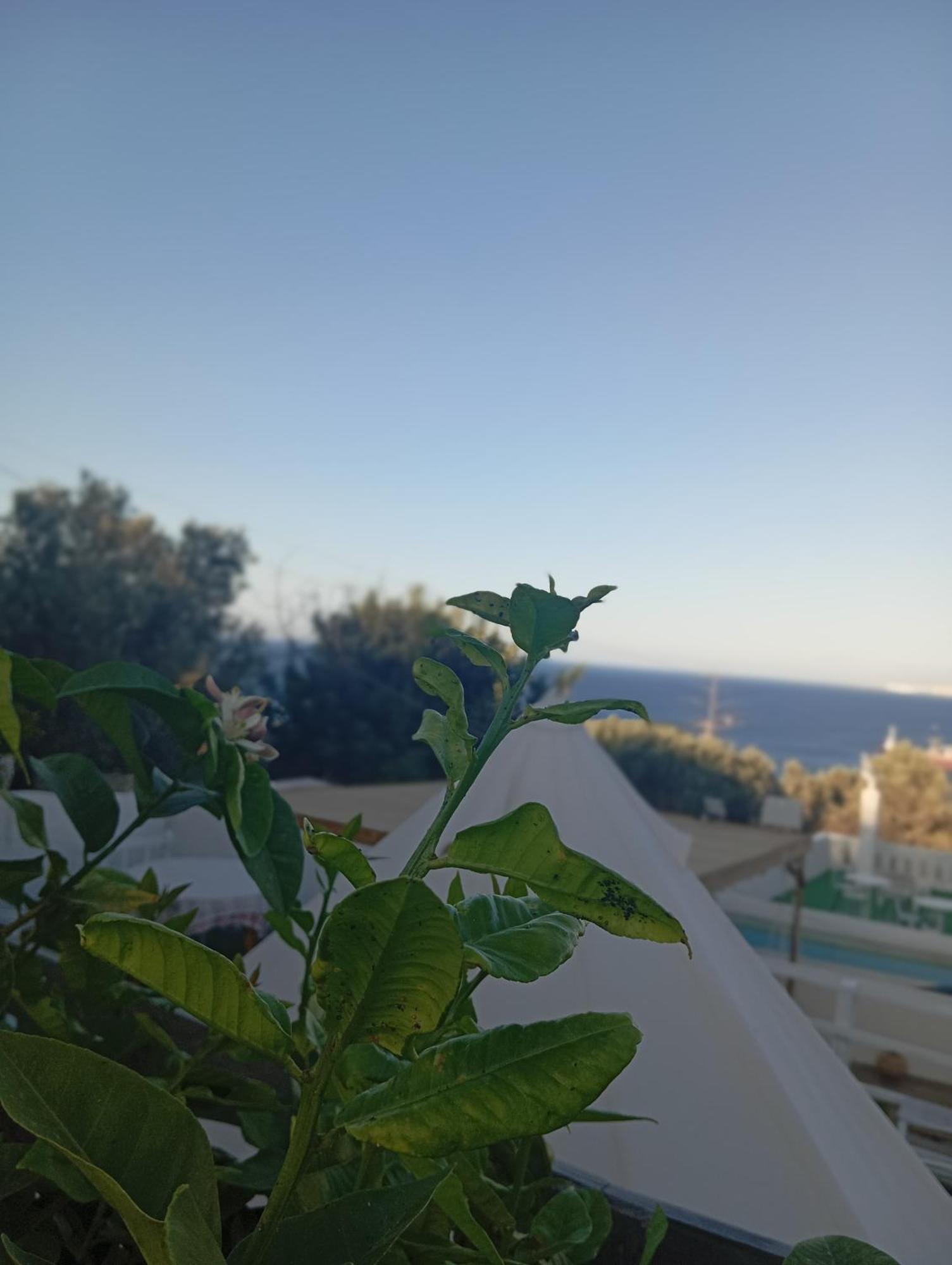 Queens Luxury Glamping Palaiokastro  Exteriér fotografie